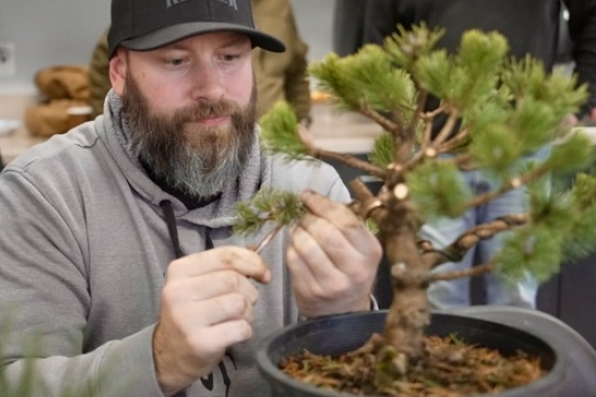 Pacific Bonsai Museum