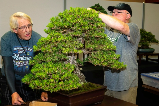 Portland bonsai nursery