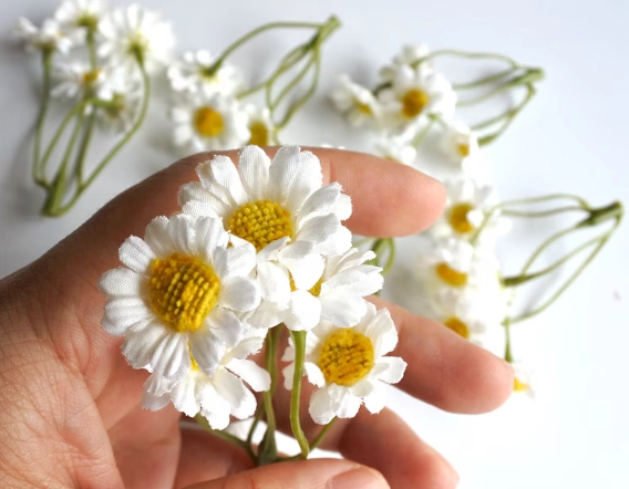 mini daisy varieties