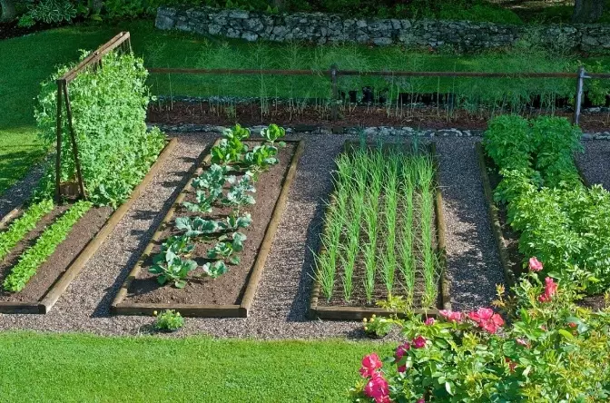 organic gardening for beginners