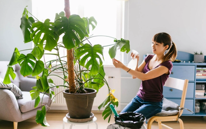 plant watering guide