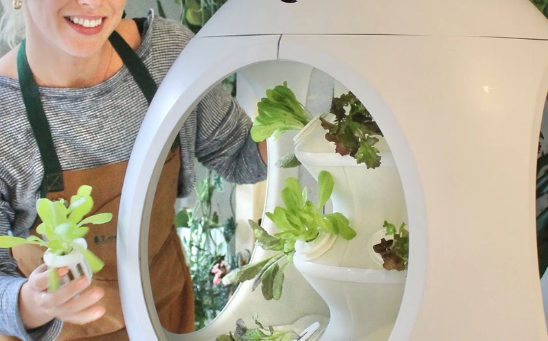 grow plants indoors