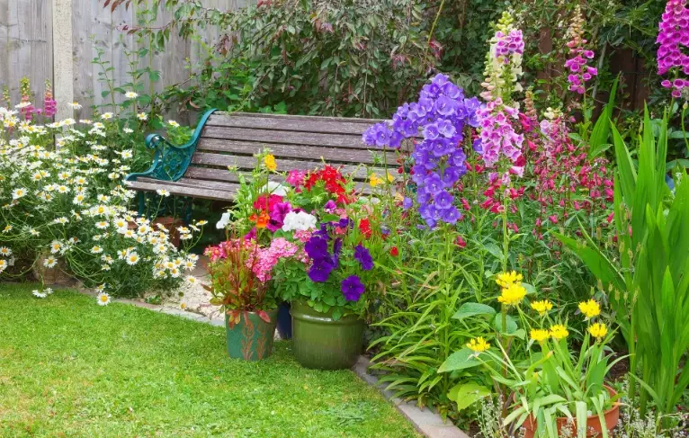 cut flower garden plants