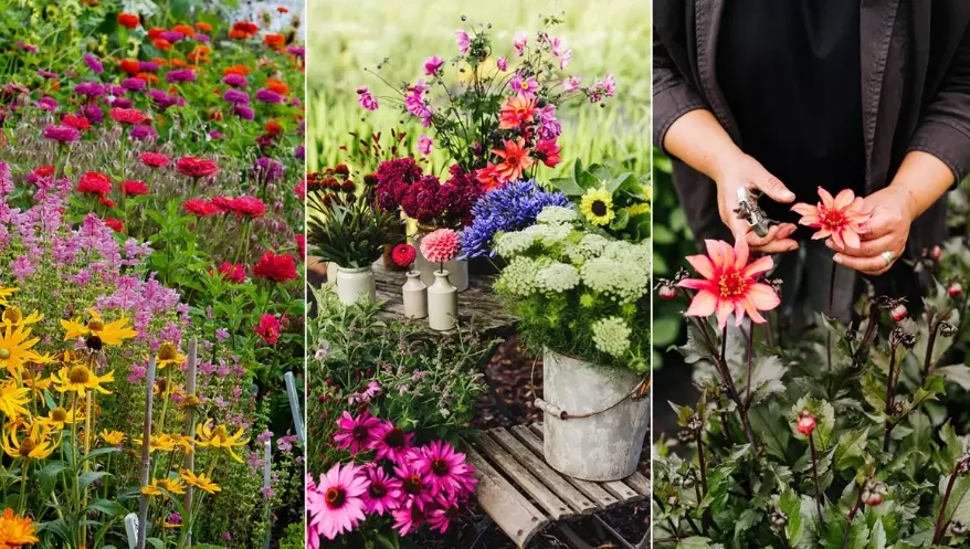 cut flower garden design