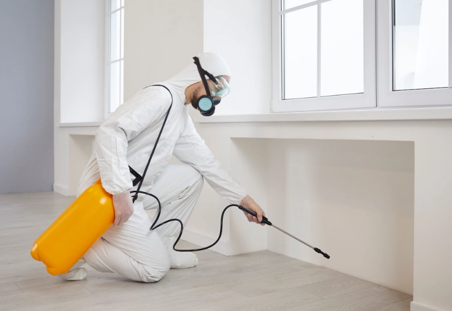 pest control services