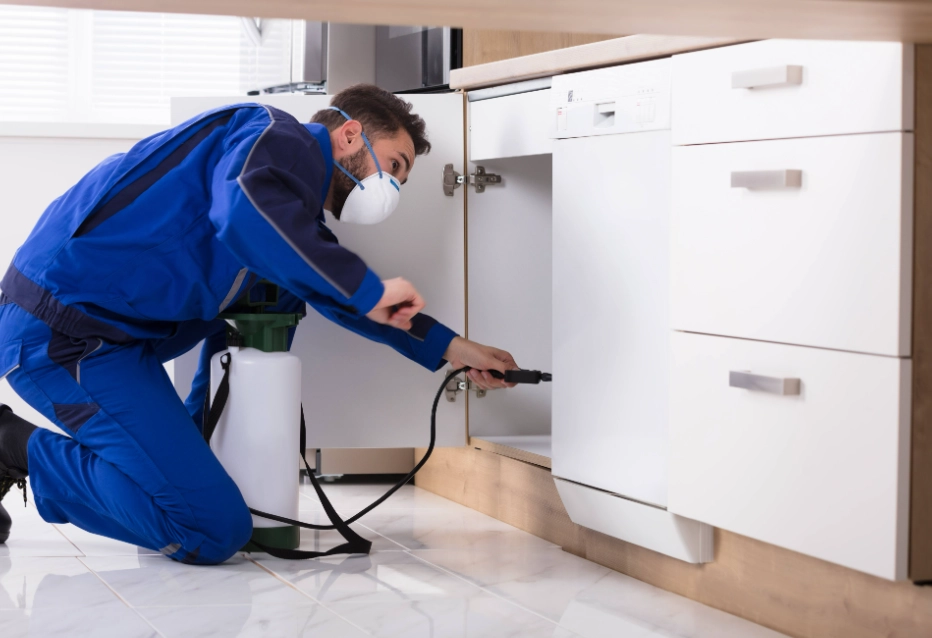 pest control services