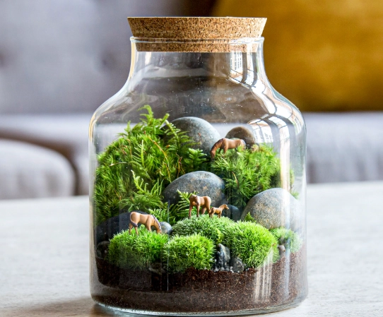 how to make a terrarium