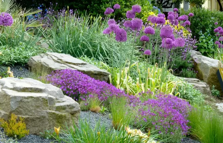 low water plants oregon