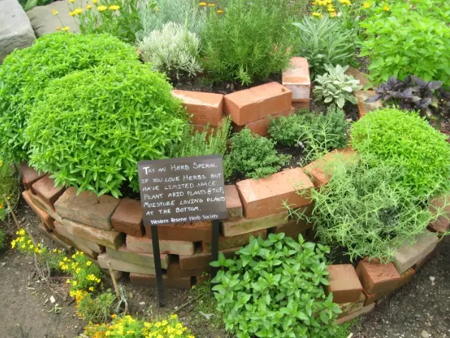 how to grow herbs