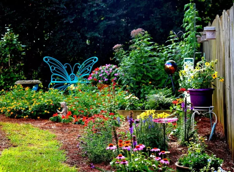 butterfly garden plants