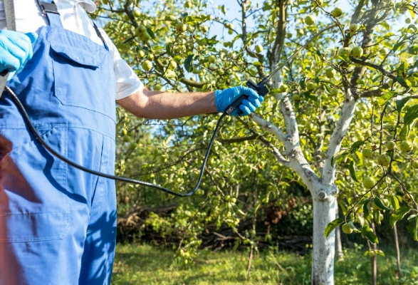 rodent exclusion methods