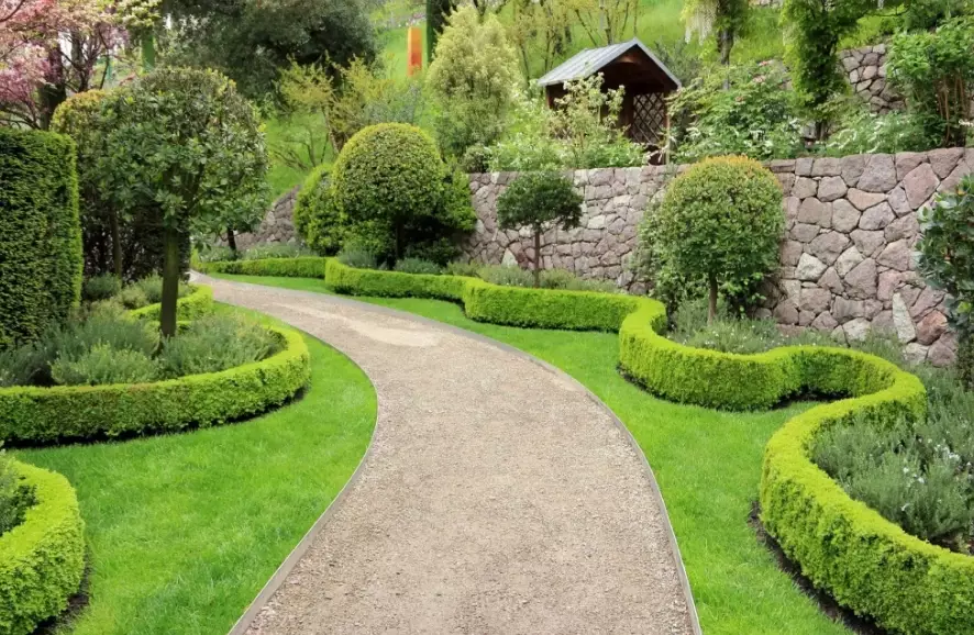 backyard landscaping