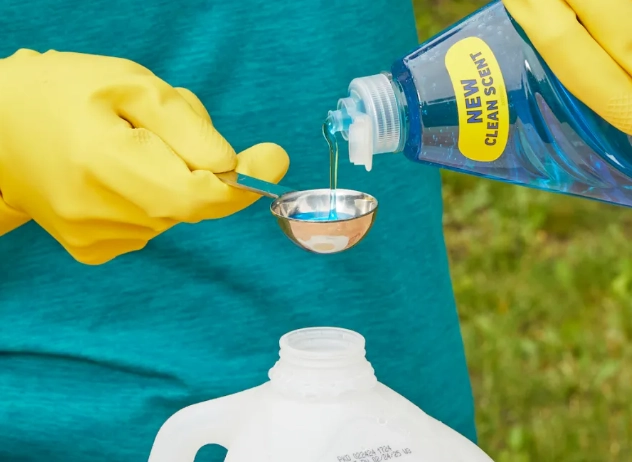 homemade insecticidal soap homemade insecticidal soap