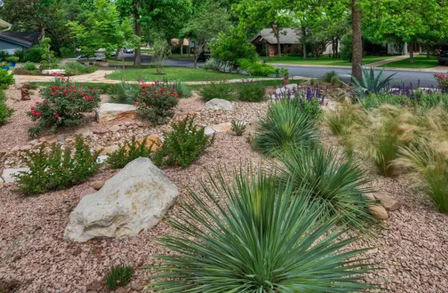 water wise landscaping