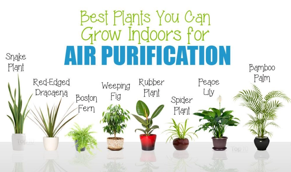 NASA clean air study