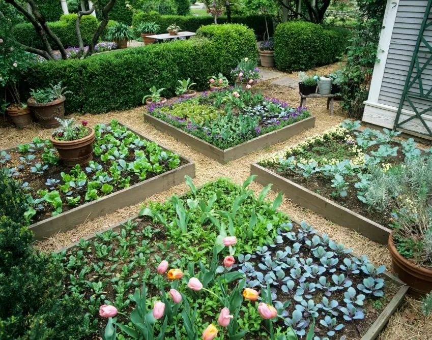 best soil for raised beds