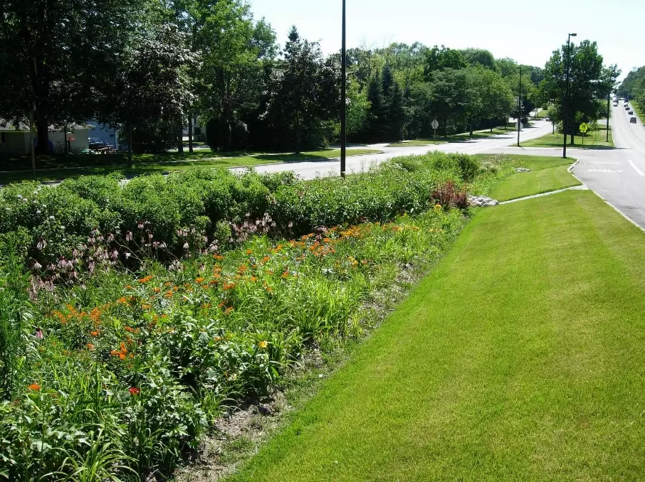 rain garden design