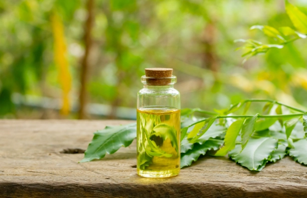 how to use neem oil on plants