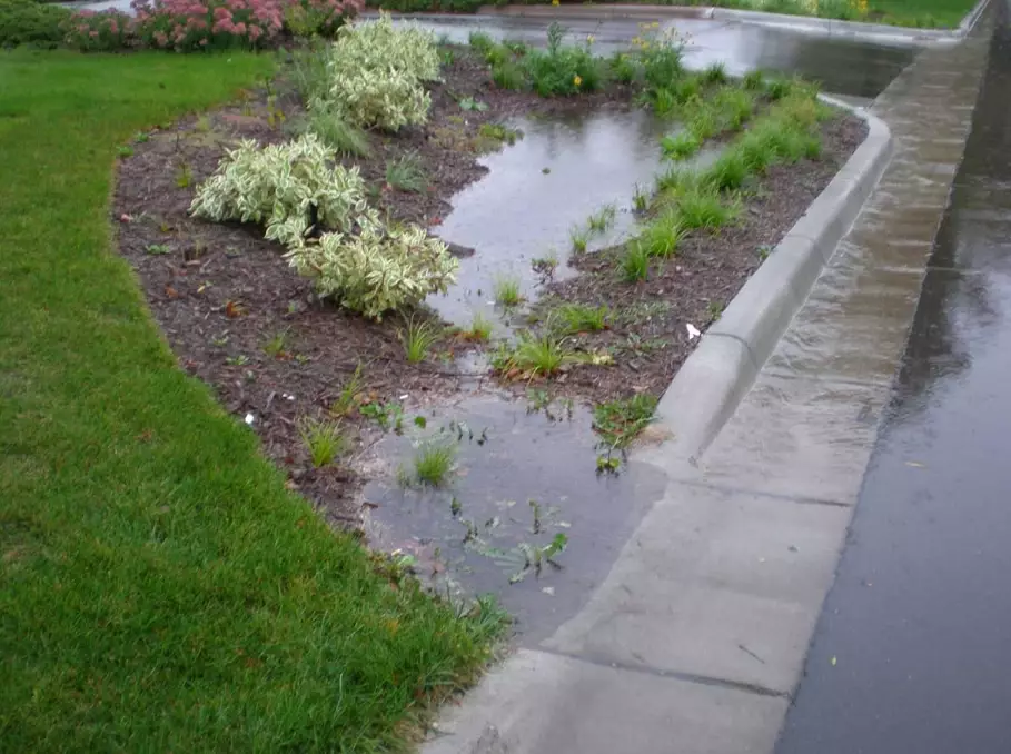 rain garden benefits