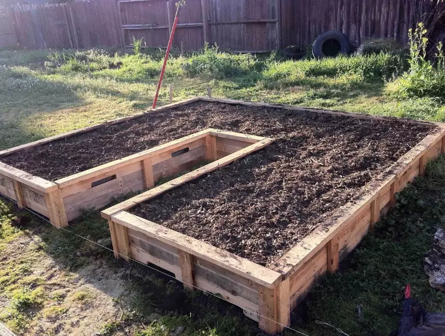 raised bed gardening for beginners