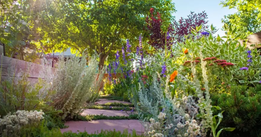 water wise landscaping