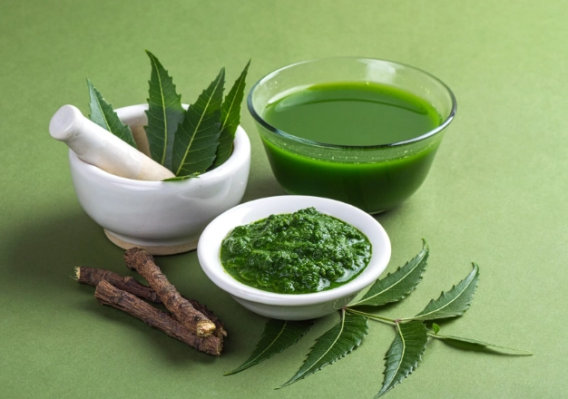 organic pest control for plants