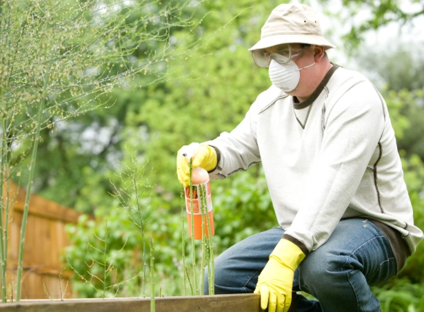 rodent exclusion methods