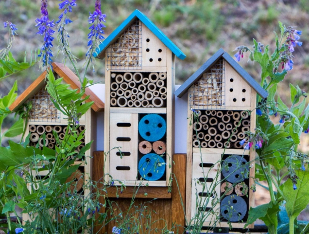 insect hotel materials