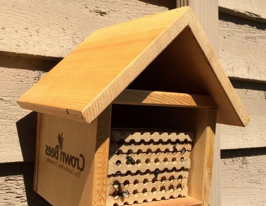 how to attract solitary bees