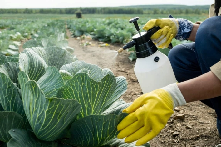 prevent plant diseases