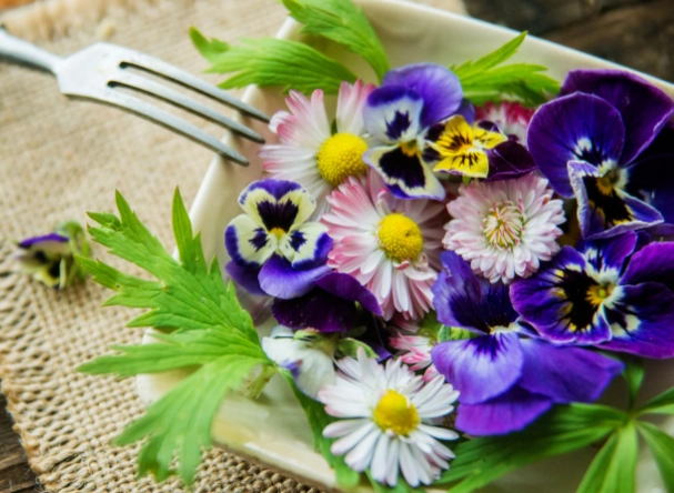 how to use edible flowers