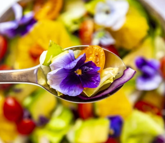 edible flowers list