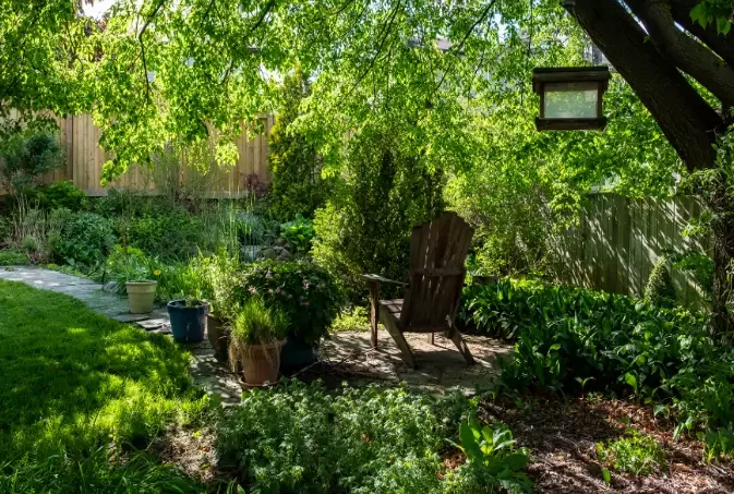 native plants for birds