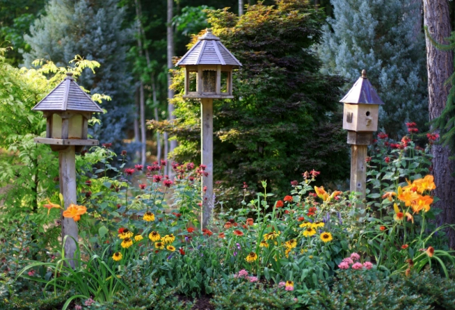 attracting birds to garden