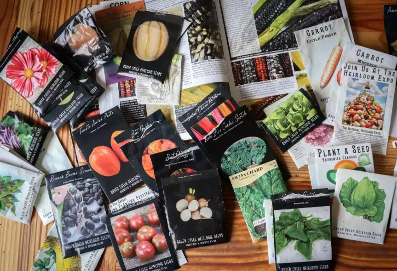 best heirloom tomato seeds