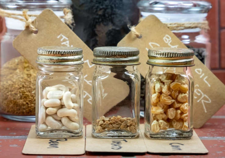 how to save heirloom seeds