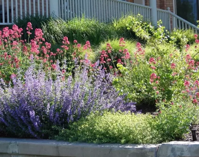 water wise gardening