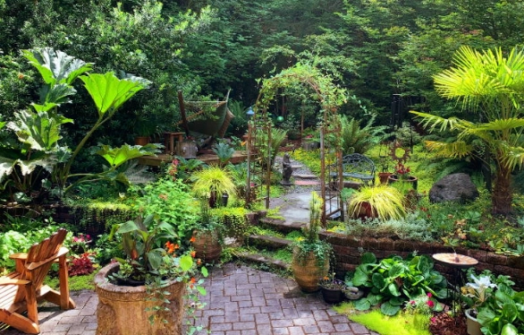 microclimates in garden