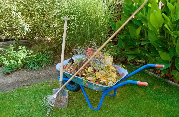 winter garden preparation winter garden preparation