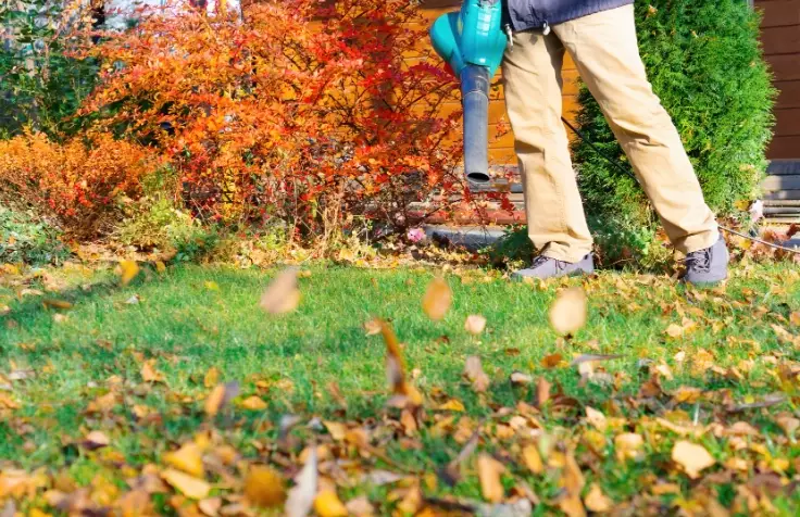 winter garden preparation winter garden preparation