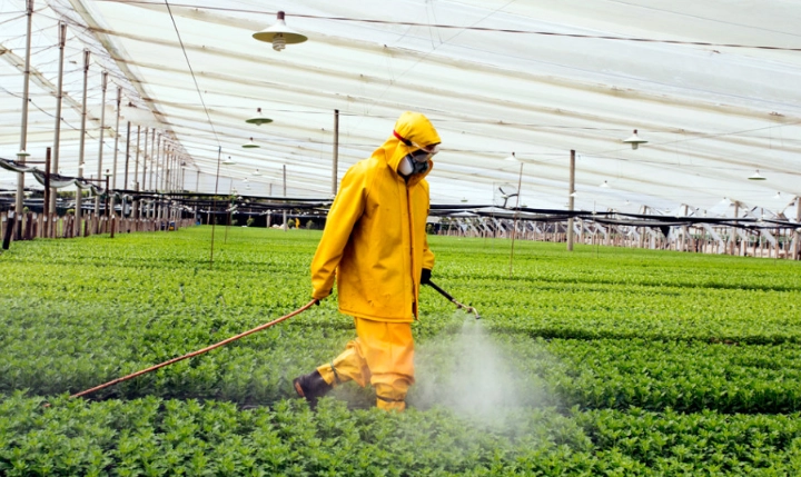 natural pest control natural pest control