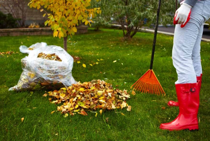 winter garden preparation winter garden preparation