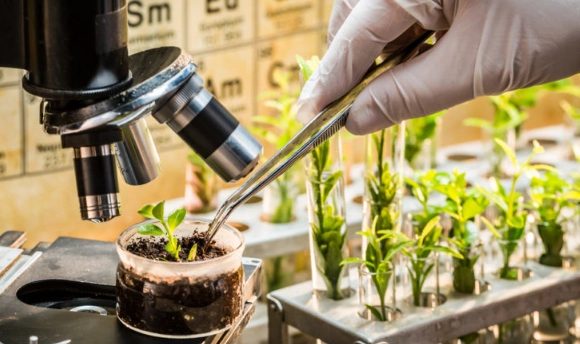 plant breeding methods