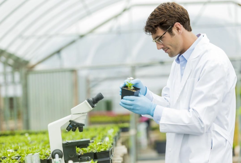 plant breeding methods