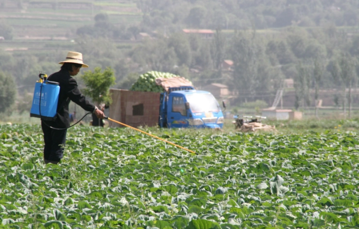 integrated pest management