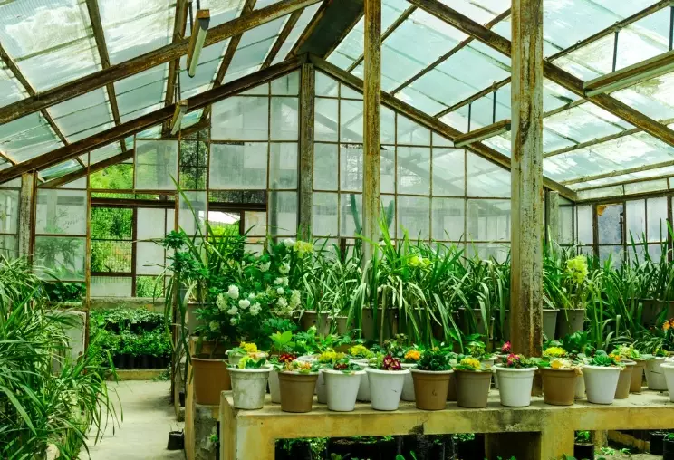 how to set up a greenhouse how to set up a greenhouse