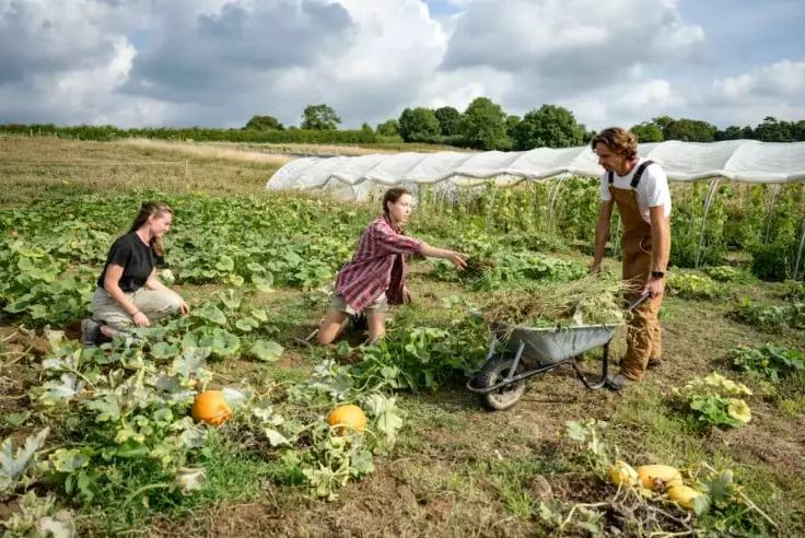 regenerative agriculture