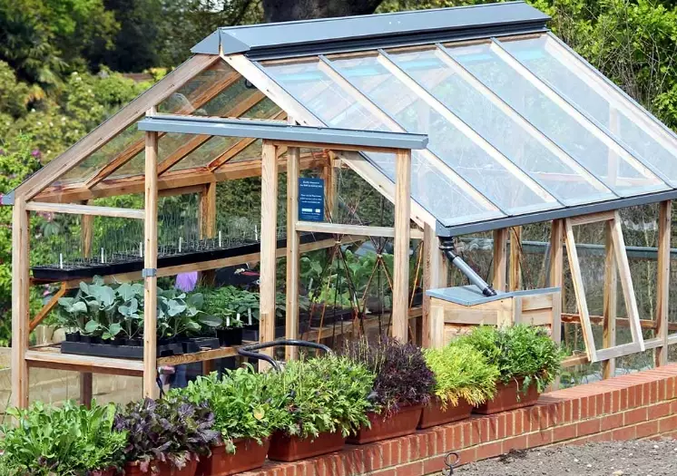 best plants for greenhouse best plants for greenhouse