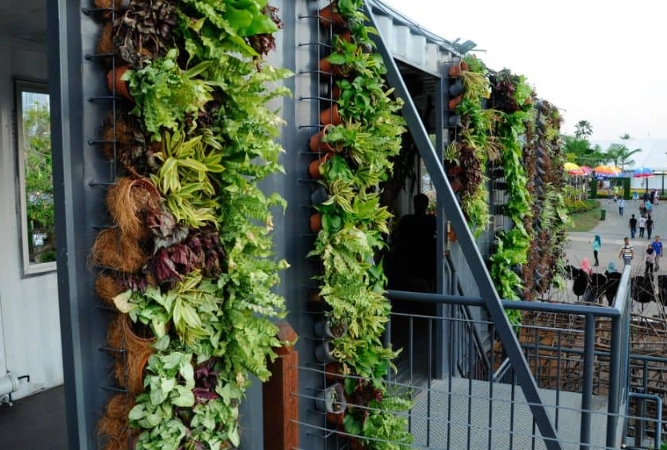 vertical garden design vertical garden design
