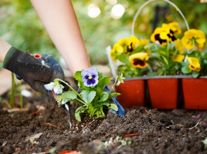 spring planting guide spring planting guide